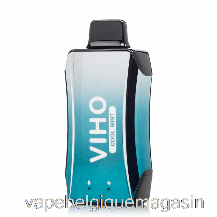 Vape Shop Bruxelles Viho Turbo 10000 Jetable Menthe Fraîche